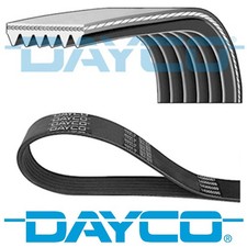 GENUINE DAYCO 6 RIBS 900MM